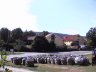 Bakke syd øst mørkt 20030810 2.JPG - 